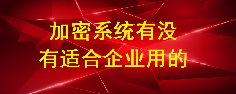 加密系統有沒有適合企業用的？
