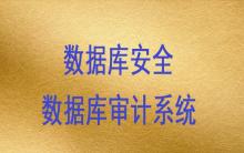 數(shù)據(jù)庫(kù)安全-數(shù)據(jù)庫(kù)審計(jì)系統(tǒng)